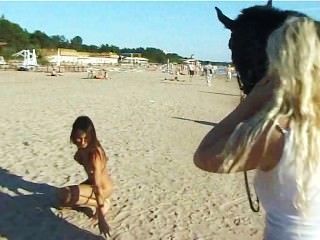 Adolescente Desnudo Montando Un Caballo En La Playa Da Vuelta A Cabezas