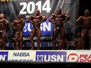 Muscle Bulls Nabba Universe 2014, Comparación Profesionales 1