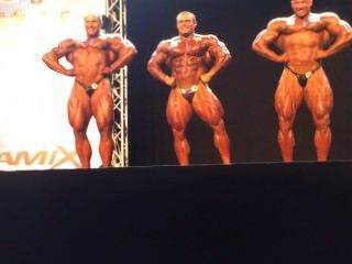 Pro Musclebulls Fedorov, Lesukov, Shabunia
